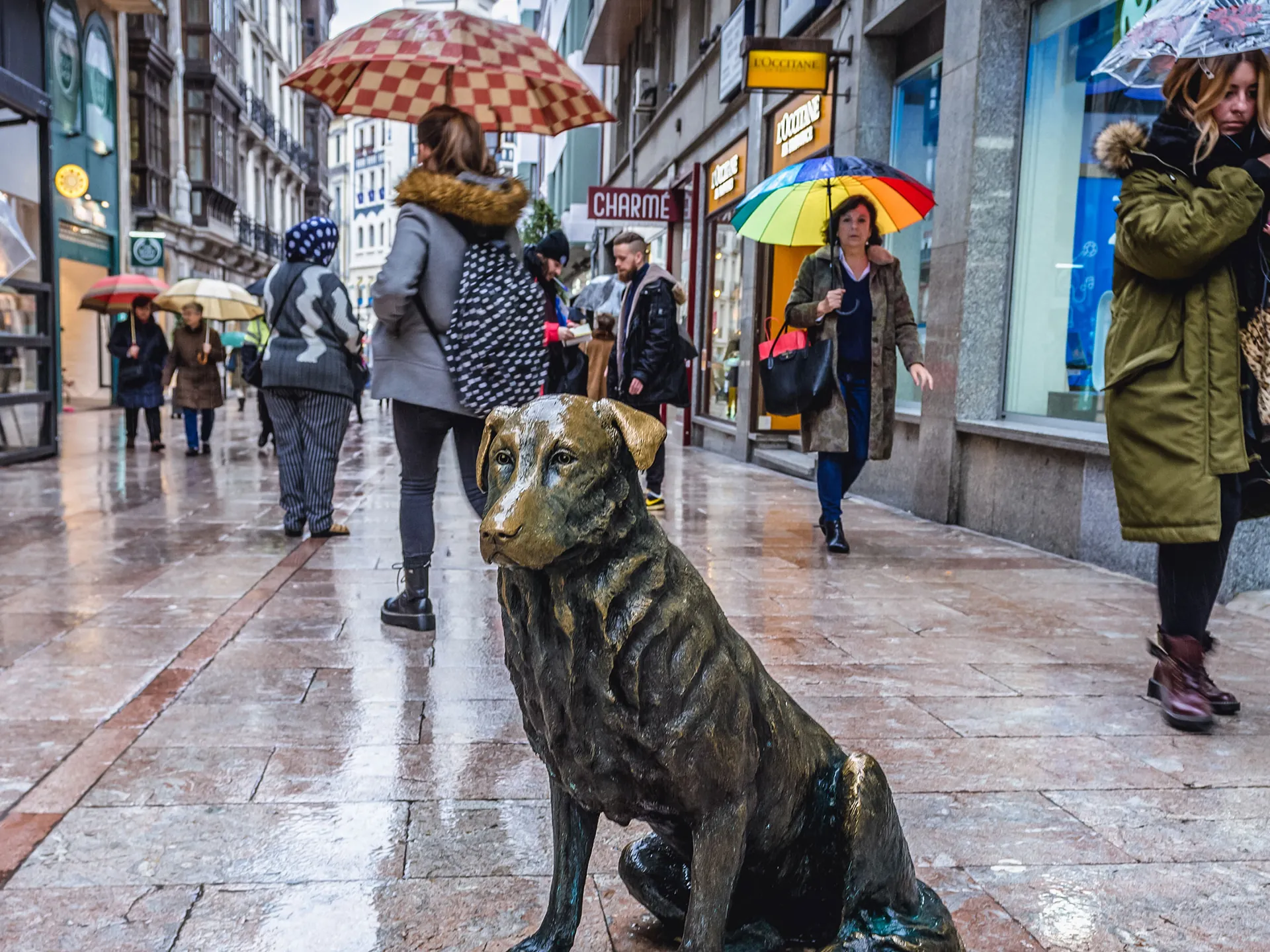 Estatua de un Rufo, el perro de la calle de Oviedo, Asturias, España