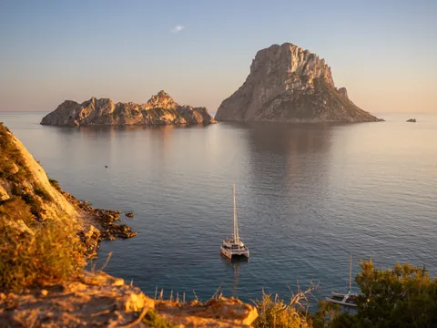 Es vedrà vista en una excursión en barco al atardecer