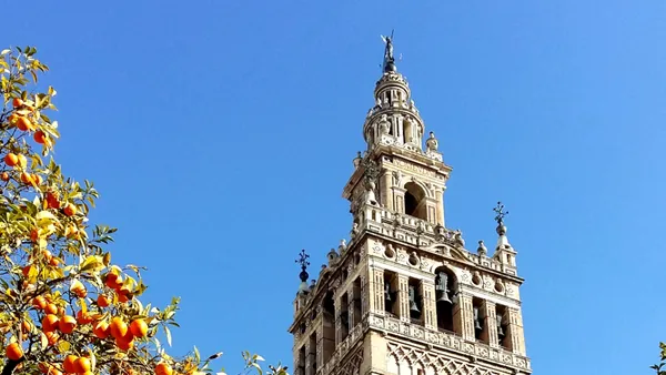 Tours y visitas guiadas en Sevilla Provincia para descubrir su historia y monumentos