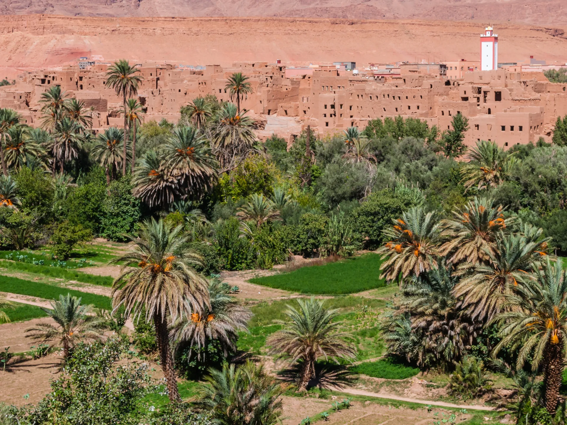 Qué hacer en los alrededores de Marrakech