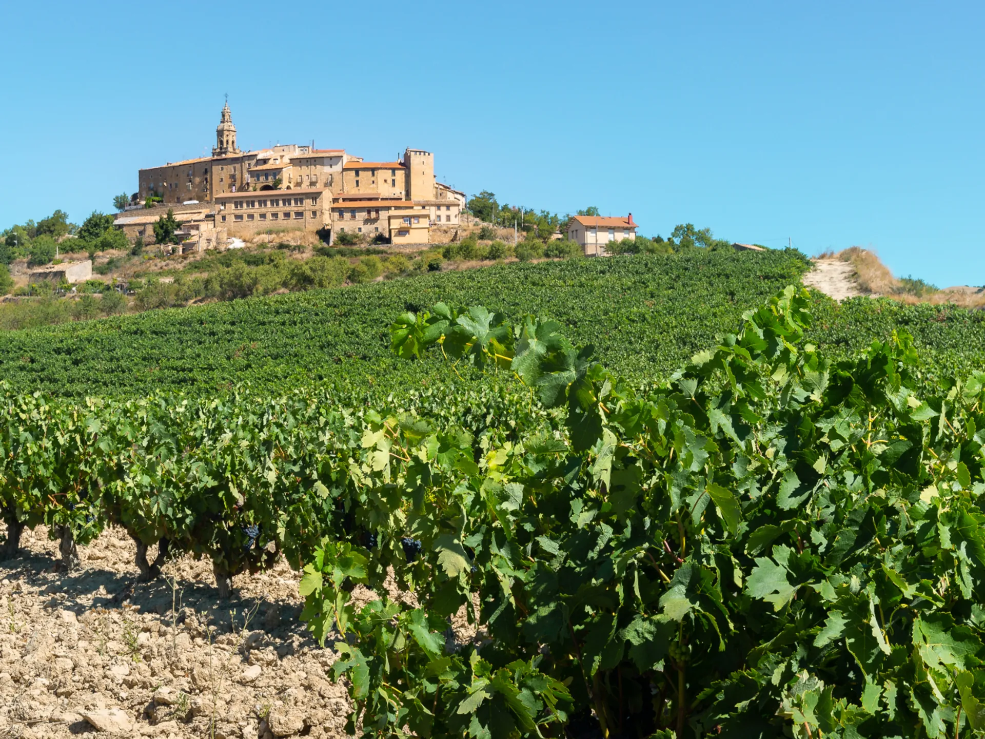 Vista Labastida en la Rioja Alavesa - Pueblos de la Rioja Alavesa - Qué ver en Bilbao - Guía de Viajes Bilbao - Buendía Tours