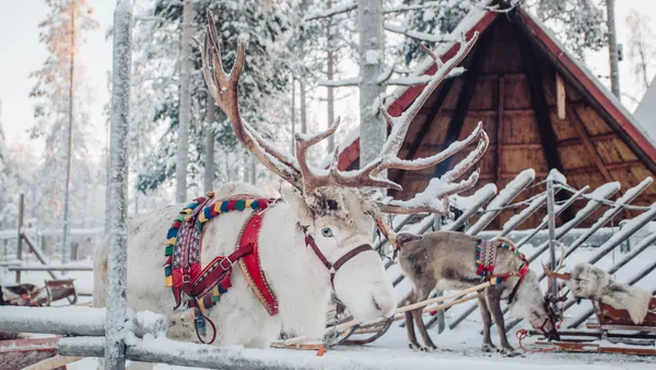 renos-rovaniemi-excursion.jpg