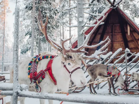 renos-rovaniemi-excursion.jpg