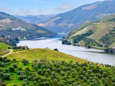 Vistas del río Duero entre viñedos y colinas verdes en un paisaje tranquilo.