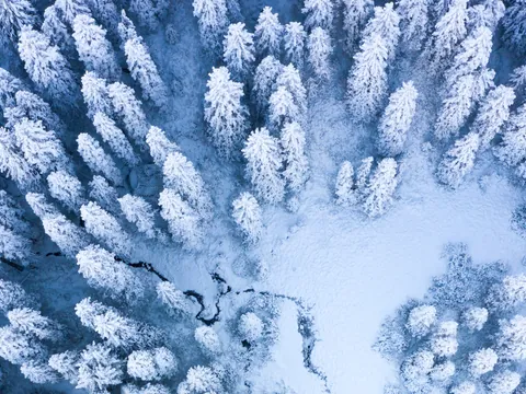 Vuelo panorámico en helicóptero por Baqueira