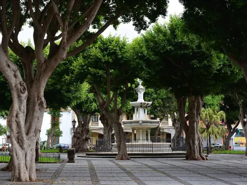 El centro de la Plaza del Adelantado, punto inicial del free tour misterioso.