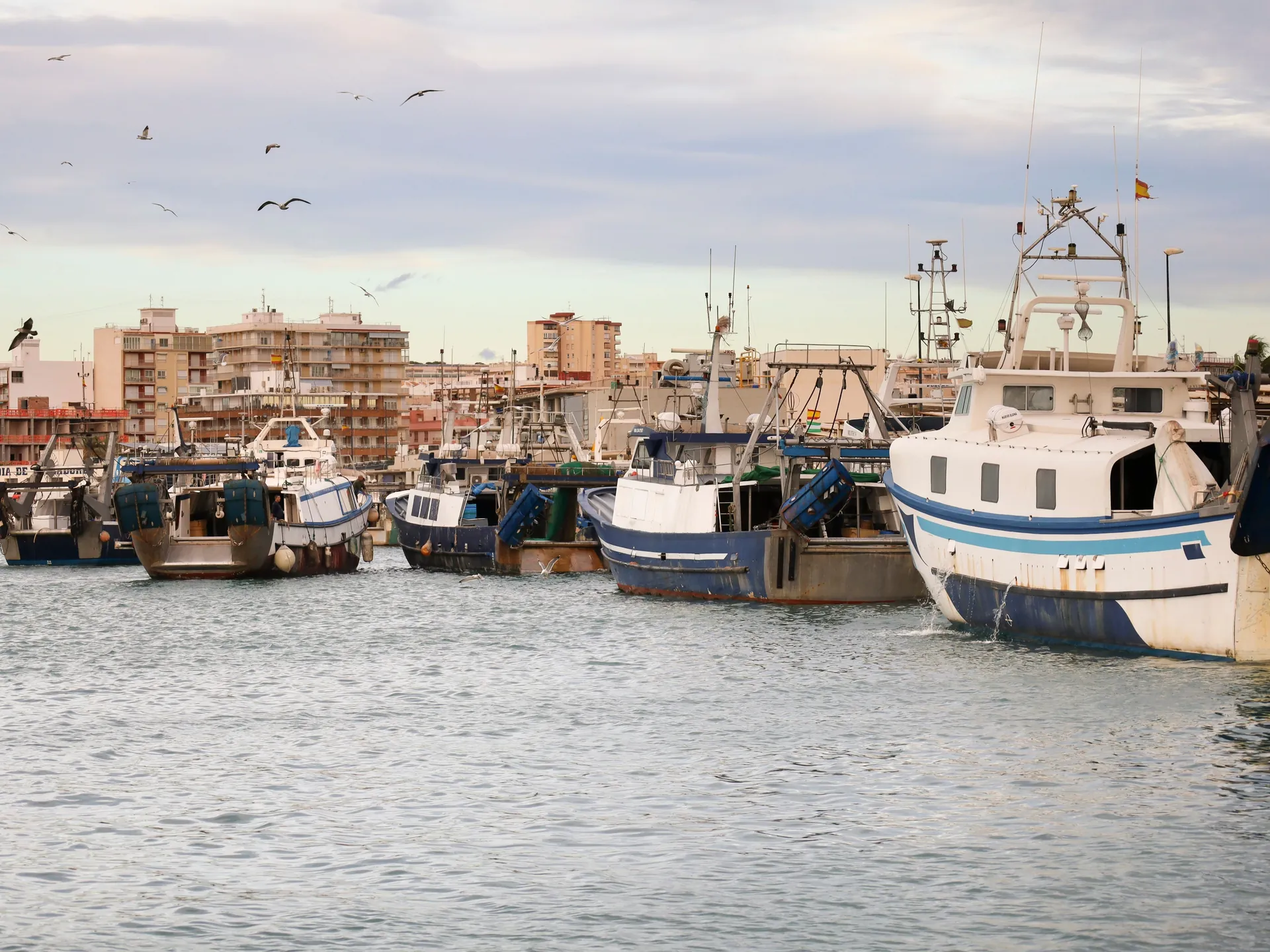 puerto santa pola