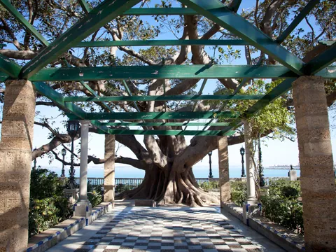 Parque de la Alameda en Cádiz