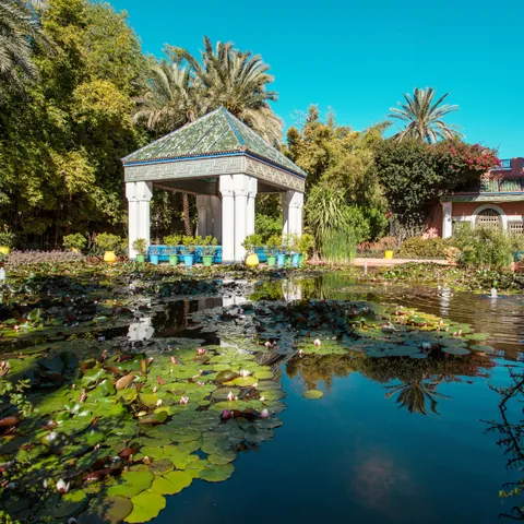El Palmeral de Marrakech - Explorar el Palmeral en Quad - Qué hacer en Marrakech - Guía de Viajes Marrakech - Buendía