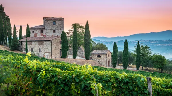 tour Chianti Viñedo Medio Dia desde Florencia Viñedos Degustacion Toscana Italia