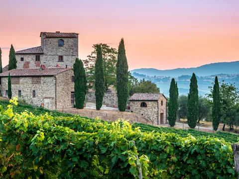 tour Chianti Viñedo Medio Dia desde Florencia Viñedos Degustacion Toscana Italia