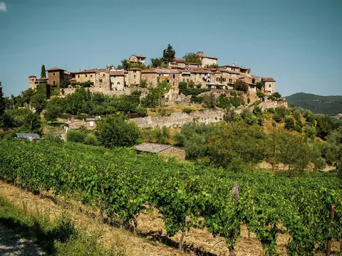 Pueblo sobre una colina y extensos viñedos en la Toscana