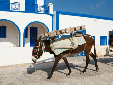 Crucreo islas Volcanicas Santorini paseo en barco Tradicional Griego Nea Kameni Volcal Palea Kameni Hot Spring Thirassia Grecia