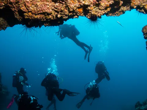 Bautismo Buceo Puerto Carmen Inmersiones Lanzarote Dive Skuba Canarias