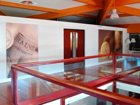 visita Bodegas Pago Larrainzar Viñedo Cata Vinos Pamplona Navarra