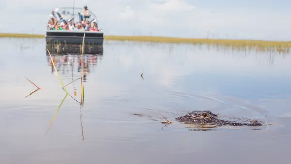 hidrodeslizador-everglades.jpg