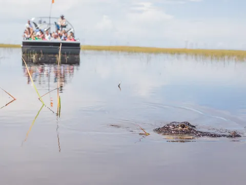 hidrodeslizador-everglades.jpg