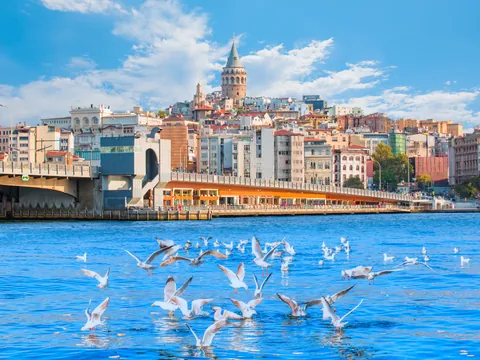 Vista de gaviotas revoloteando en el Bósforo y la torre Galata de fondo, Estambul