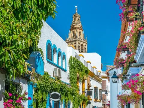 casas-flores-excursion-a-cordoba-desde-granada-privado_buendia.jpg