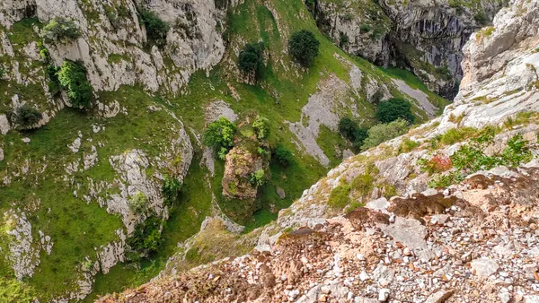 Cómo sacarle el máximo partido a tu visita al Parque Nacional de los Picos de Europa