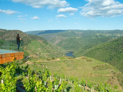 excursiones desde Lugo Bodegas Regina Viarium