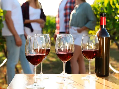 visita Bodegas Pago Larrainzar Viñedo Cata Vinos Pamplona Navarra