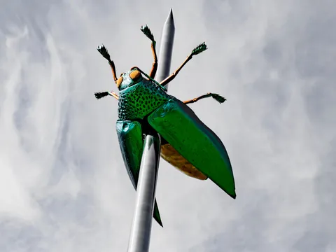 Lovaina Mosca