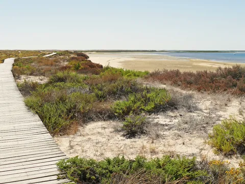 paseo en barco isla Deserta isla Farol visita guiada isla Culatra Faro Olhao Ria Formosa Algarve