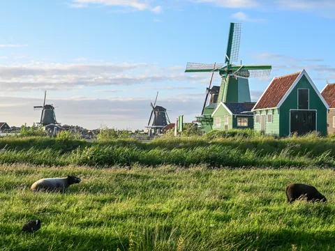 Casas Molinos tour en Bici por Campiña Holandesa paseo en barco Asmsterdam