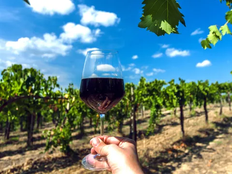 La cata de vino está incluida en esta excursión a la Toscana desde Roma.