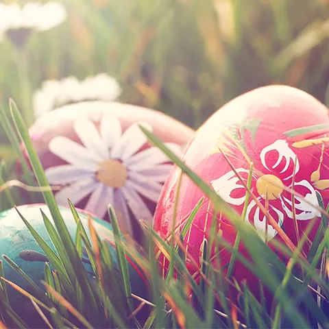 Huevos de pascua en la hierba