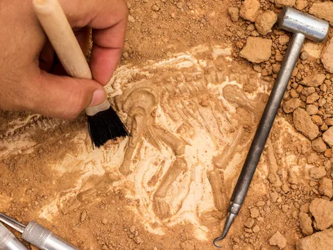 Oppidum íbero y ruinas arqueológicas en Jaén - Visita guiada Yacimiento de Puente de Tablas - Buendía Andalucía