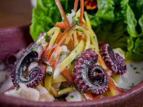 Food tour Cartagena Indias experiencia Gastronomica visita guiada Ceviche Columbiano Comida callejera Columbia