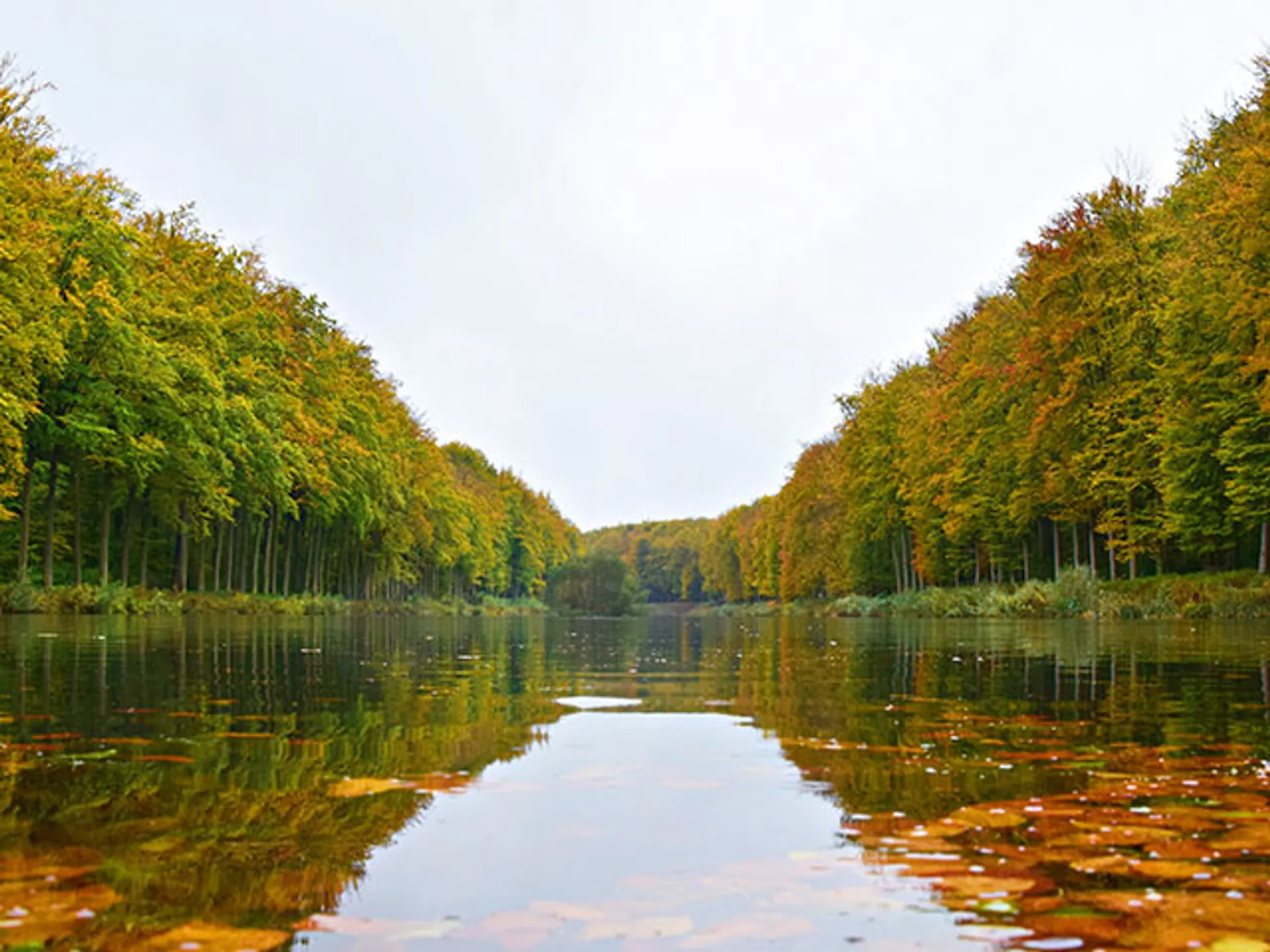 bruselas-guia-que-ver-parques-jardines-bosque-soignes-lago.jpg