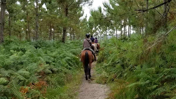 Rutas a caballo en Asturias, descubre el entorno de Arriondas desde otro ritmo