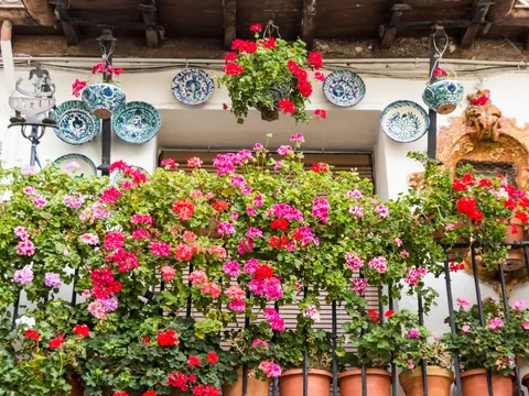 Tour privado por el Albaicín y el casco histórico de Granada con degustación de té y dulces