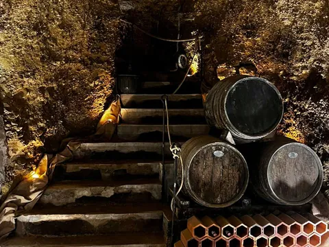 visita guiada Laguardia Cuevas Dorretxe Cata Vino País Vasco