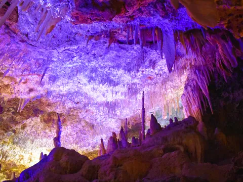 Excursión a las Cuevas del Drach y del Hams desde Mallorca