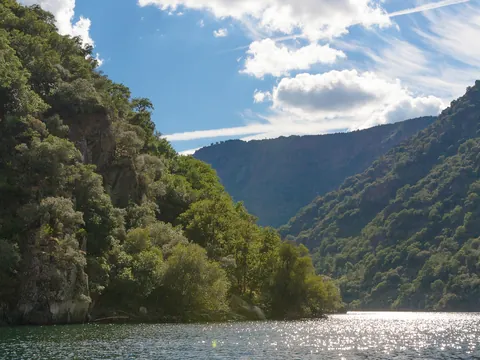 Excursión y cata de vinos en la Ribeira Sacra desde Lugo