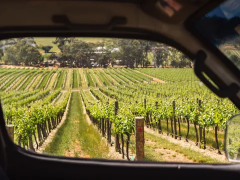 visita en 4x4 Viñedos Jilaba País Vasco