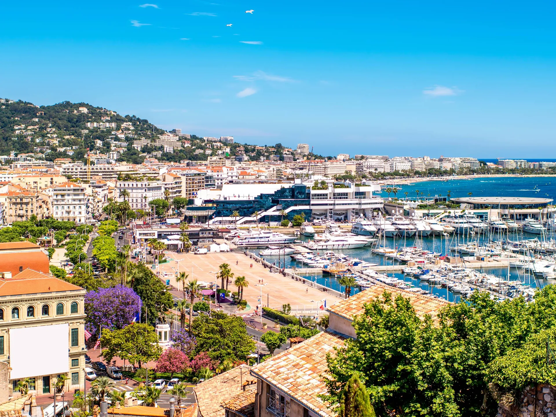 Cannes - La Costa Azul: descubre la Riviera Francesa - Blog - Buendía Tours