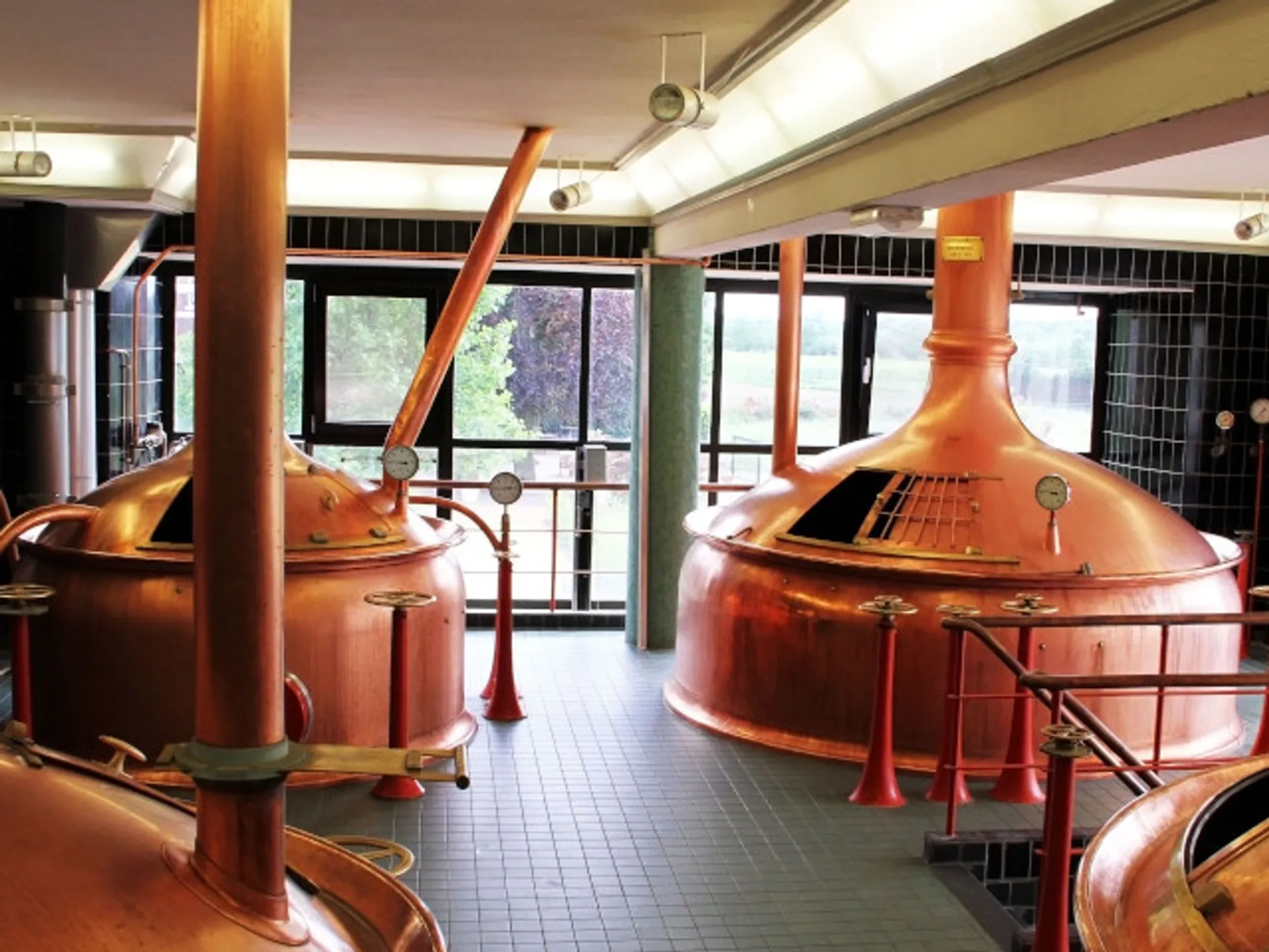 Descubre la antigua destilería Heineken-Museo Heineken Experience
