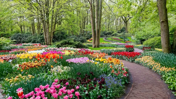Cómo elegir entre los tours privados para conocer los Jardines de Keukenhof