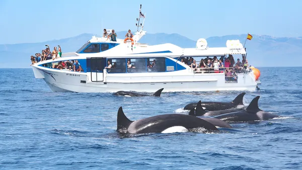 Avistamiento Cetacos Tarifa Estrecho Gribraltar barco Observacion Cádiz
