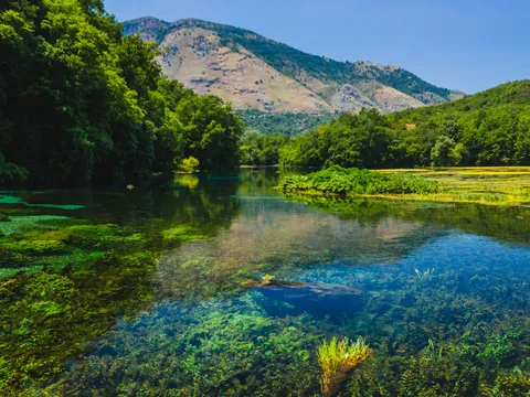 Desde Saranda: Excursión a la Laguna Ojo Azul