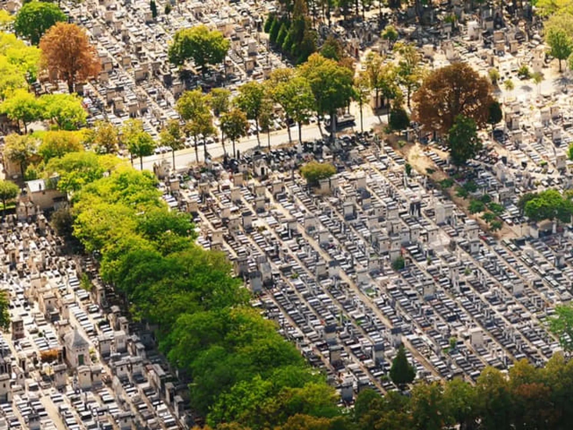 Cementerio Montparnasse Guía Barrio París Buendía Tours