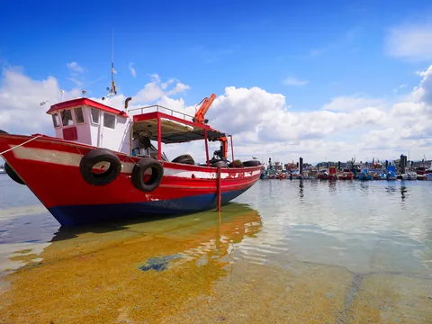 Puerto de O Grove, Pontevedra