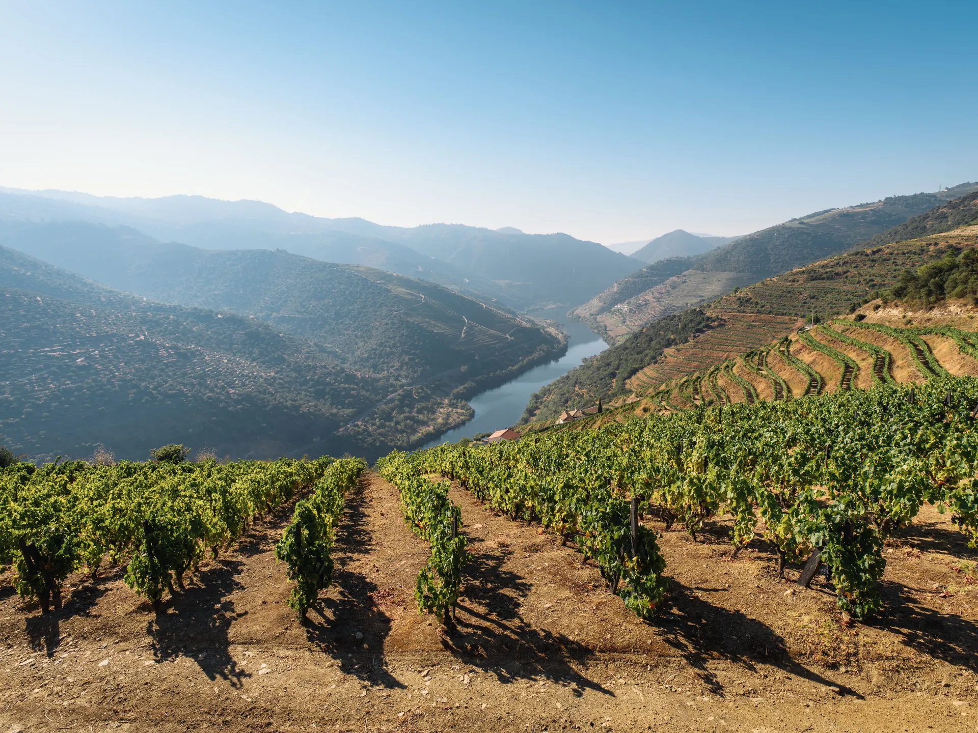 Paisaje ribera del río Duero - Las mejores Bodegas de Oporto - Blog - Buendía Tours