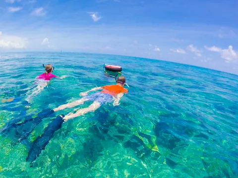 Snorkel excursión Cayo Hueso