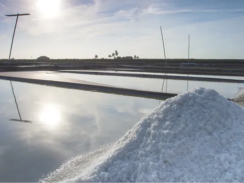 Salinas Aveiro